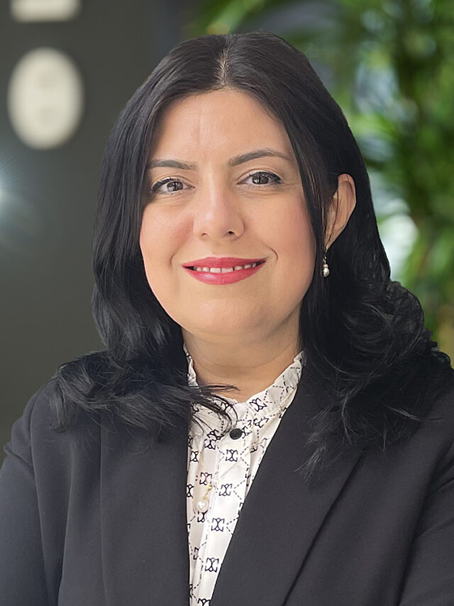 Elham Vakil website 748x996