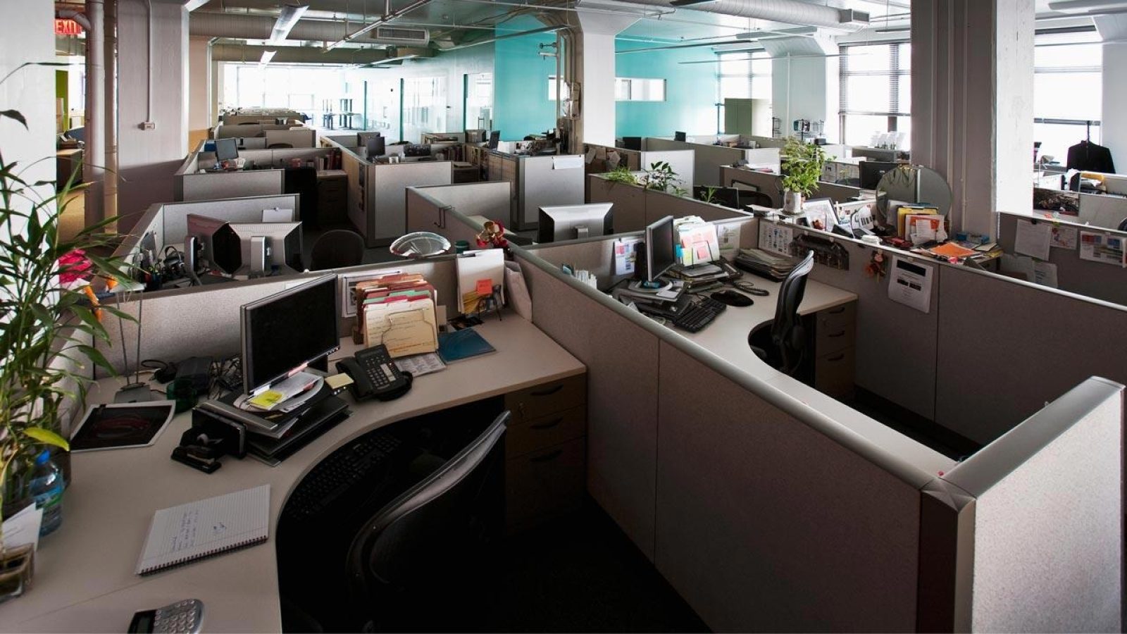 G M Business Interiors Commercial Furniture Dealer San Diego 9 Simple Décor Ideas to Elevate Office Cubicles