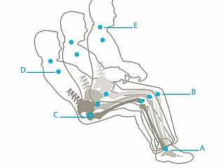 The kinematics of sitting