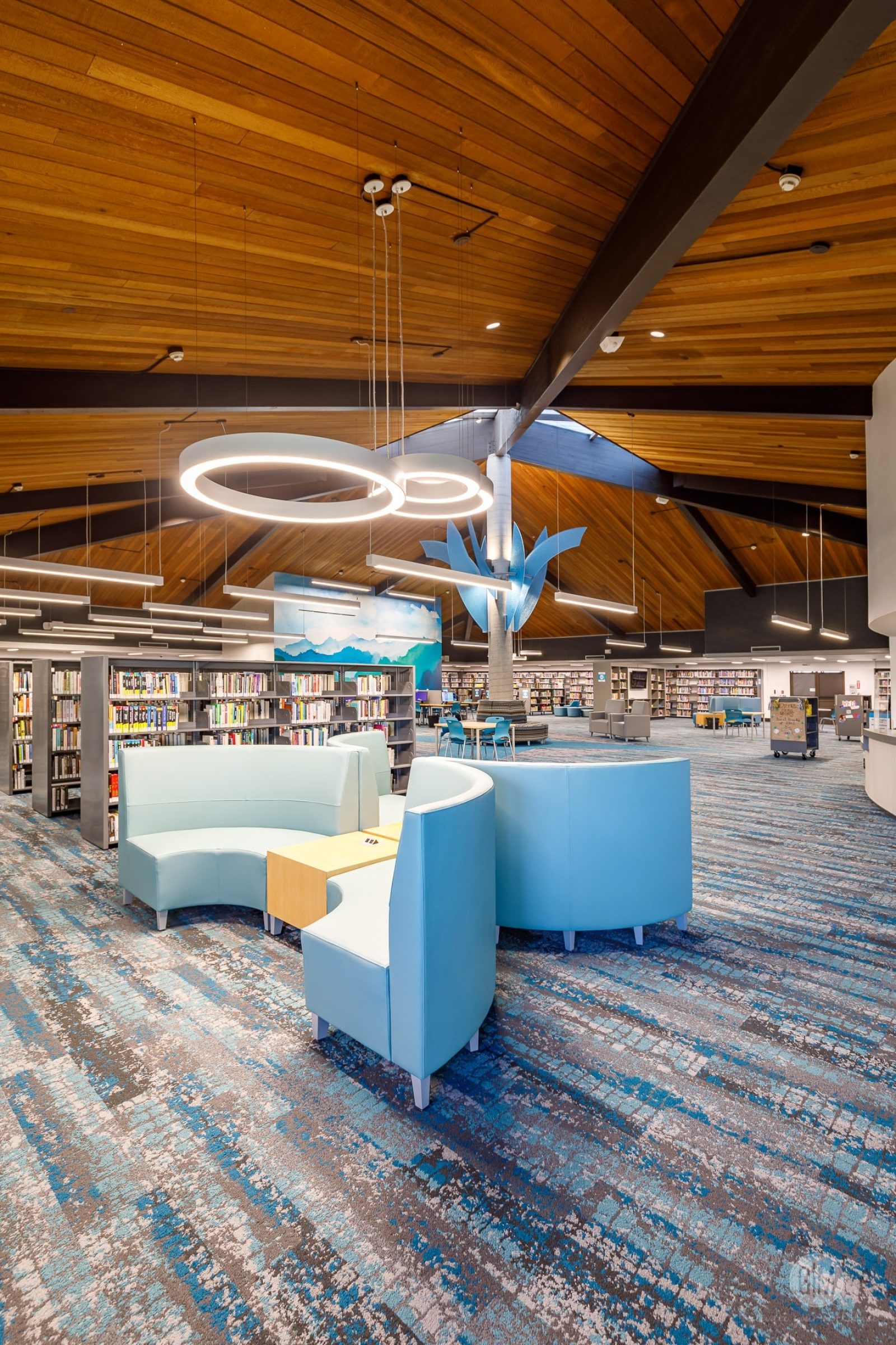 08 EL TORO LIBRARY